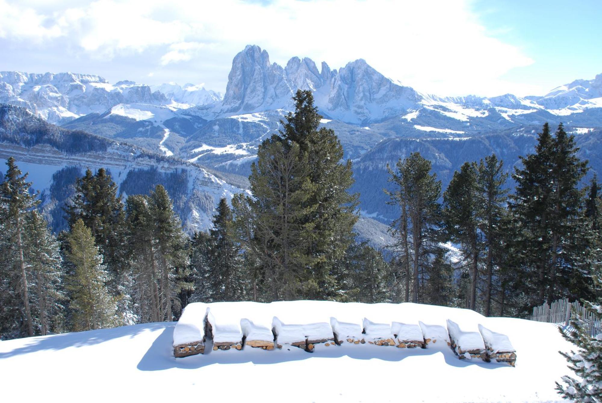 Chalet Da Mont Resciesa Ортизеи Экстерьер фото