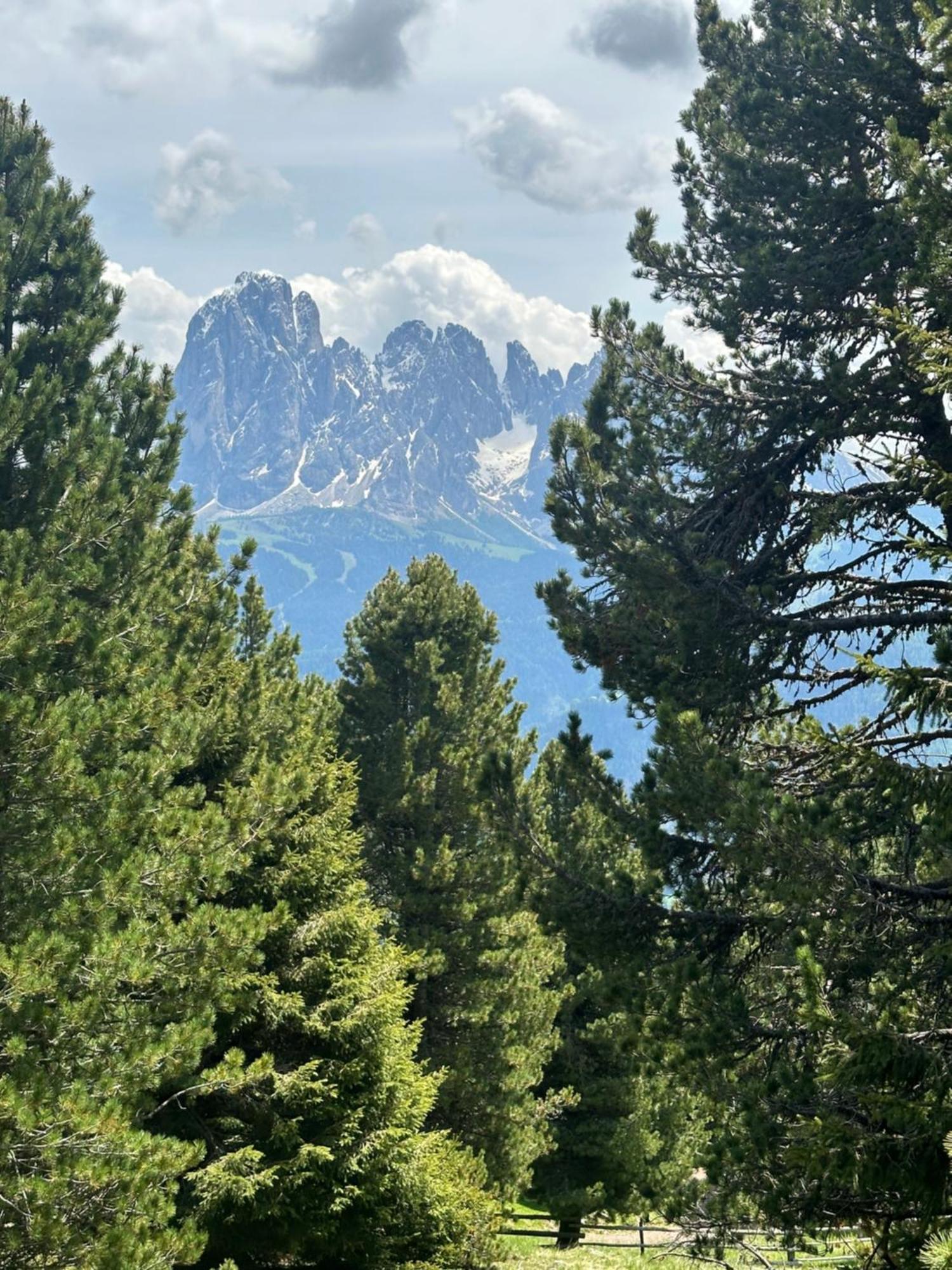 Chalet Da Mont Resciesa Ортизеи Экстерьер фото
