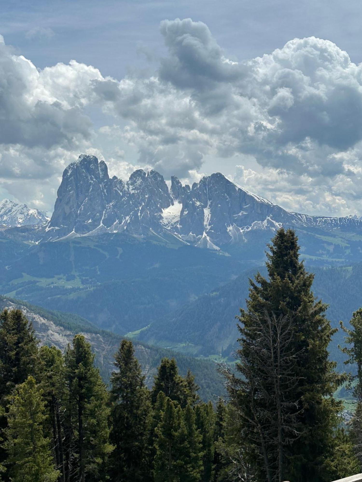 Chalet Da Mont Resciesa Ортизеи Экстерьер фото